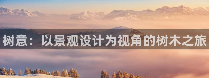 新宝gg类似