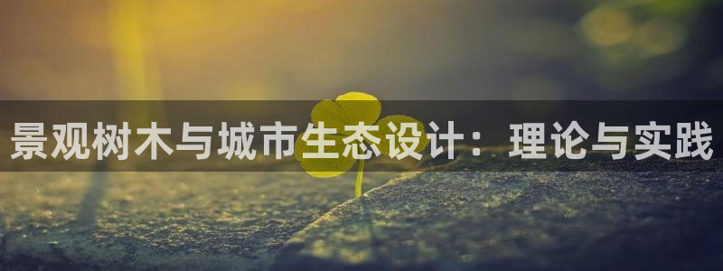 新宝gg棋牌