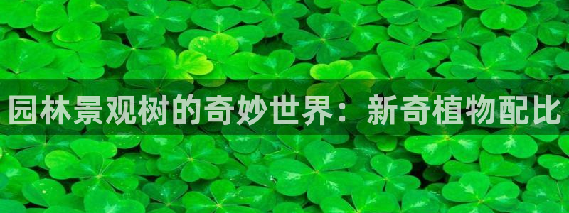 新宝gg娱乐-上鼎狐网：园林景观树的奇妙世界：新奇植物配比