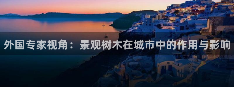 新宝六与新宝gg