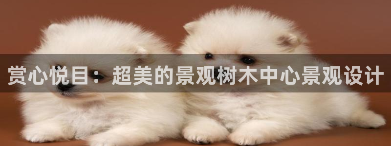 新宝皇冠gg：赏心悦目：超美的景观树木中心景观设计