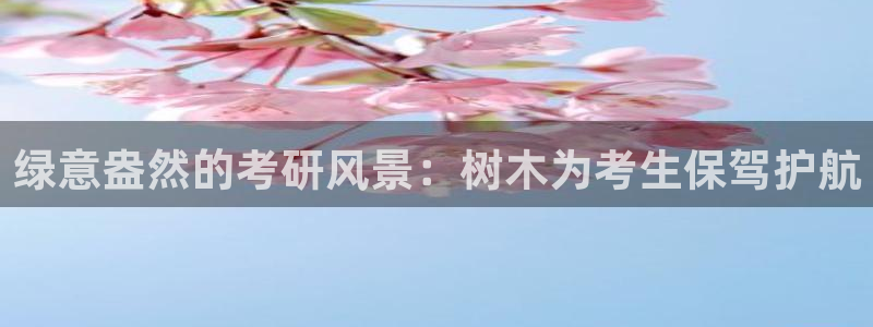 新宝gg投注