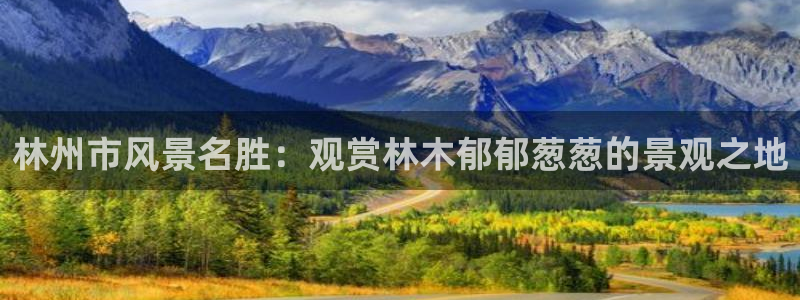 新宝gg主管