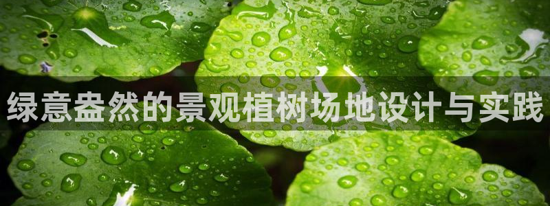 新宝太阳 gg
