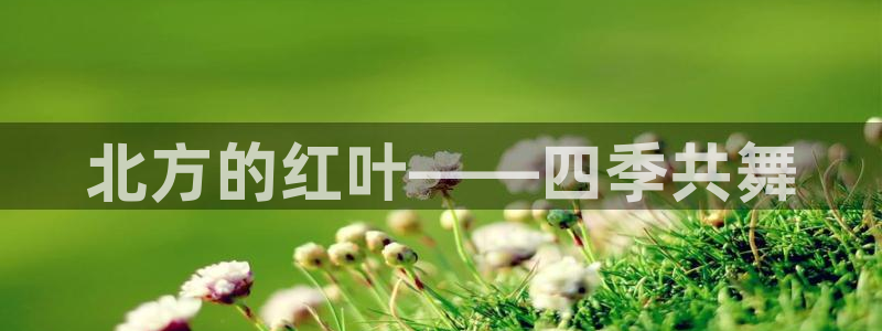 新宝gg娱乐vovq