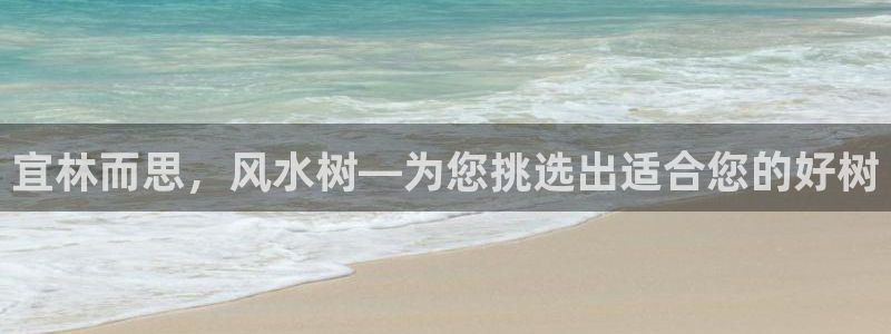 新宝gg评论：宜林而思，风水树—为您挑选出适合您的好树