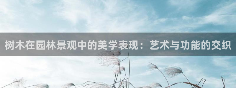 新宝gg娱乐官网