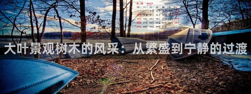 新宝gg官方下载