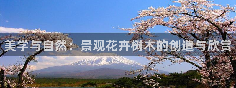 新宝GG娱