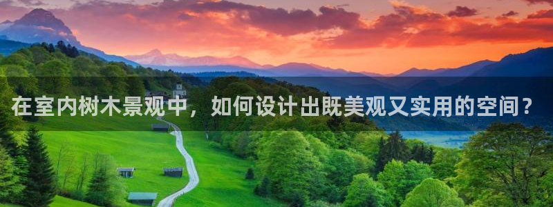 新宝_GG奇迹