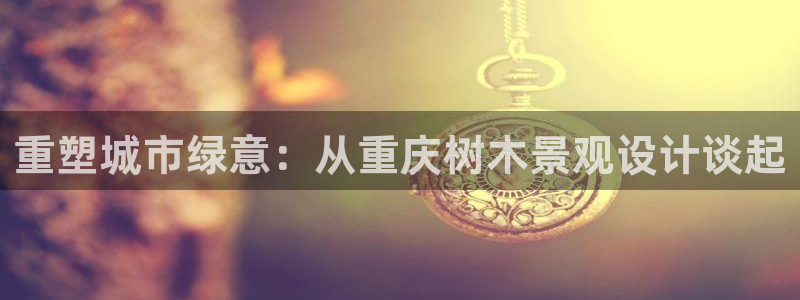 新宝gg如何代理