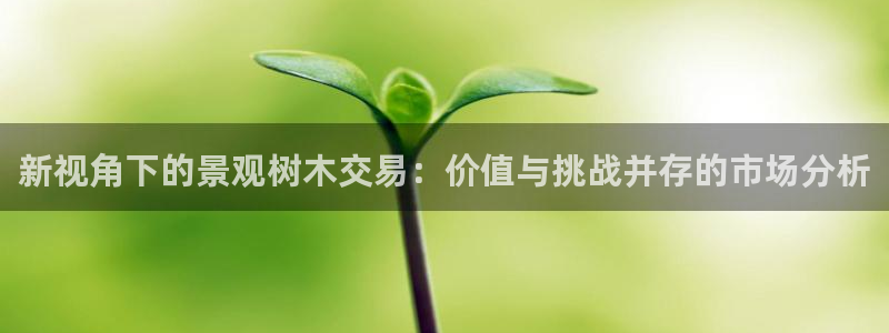 新宝gg投注