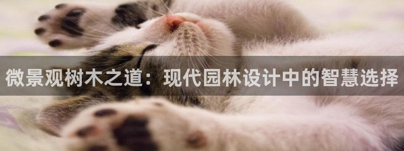 新宝gg网投