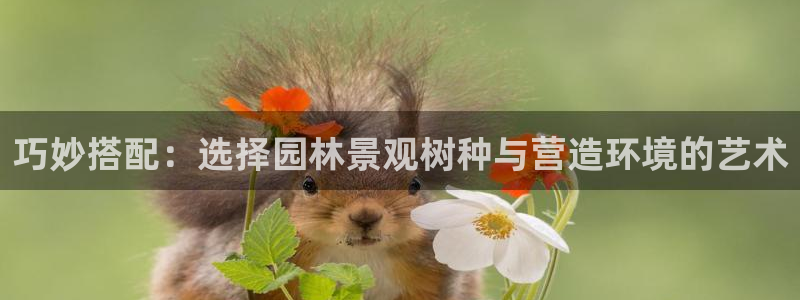 新宝gg6：巧妙搭配：选择园林景观树种与营造环境的艺术