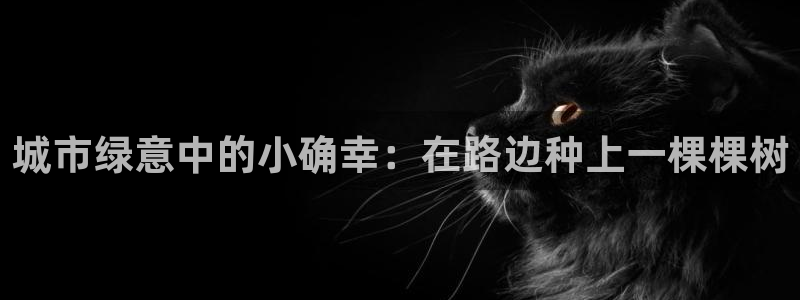 新宝gg高频彩票：城市绿意中的小确幸：在路边种上一棵棵树