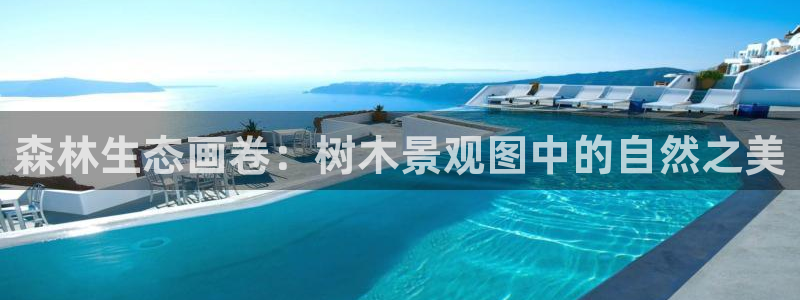 新宝gg首页