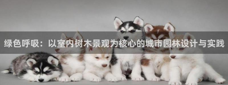 新宝gg是新宝几：绿色呼吸：以室内树木景观为核心的城市园林设计与实践