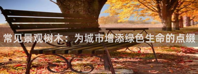新宝gg ios下载：常见景观树木：为城市增添绿色生命的点缀