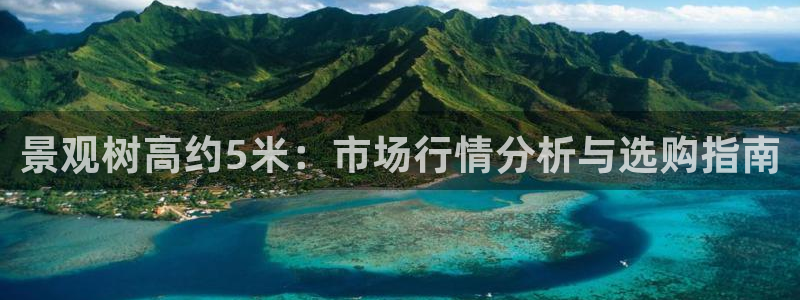 新宝gg真的能赚钱么