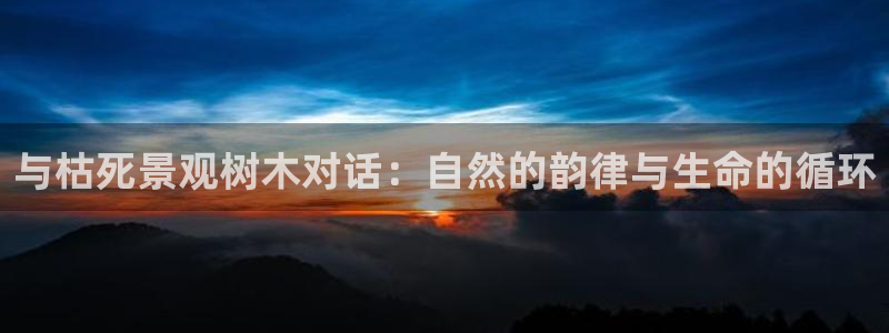 新宝gg登录平台：与枯死景观树木对话：自然的韵律与生命的循环