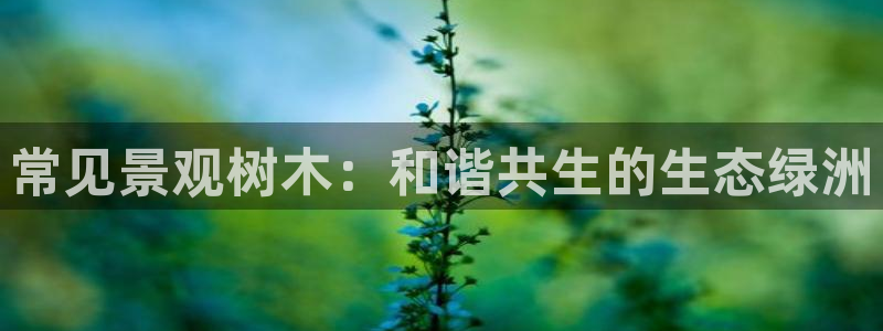 新宝gg主管都是谁：常见景观树木：和谐共生的生态绿洲