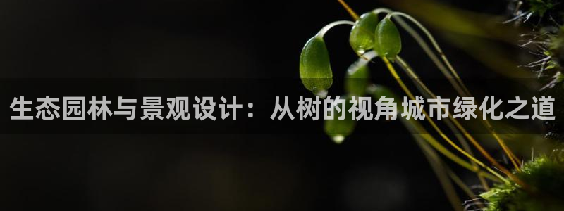 新宝六与新宝gg
