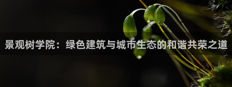 新宝gg主管baidu