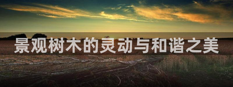 新宝gg登陆平台