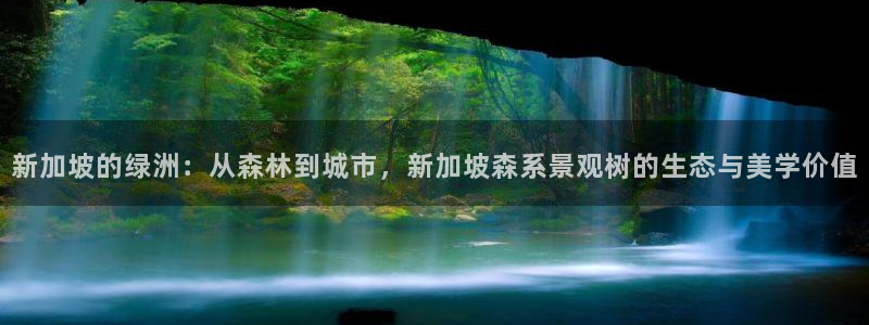 新宝gg 502：新加坡的绿洲：从森林到城市，新加坡森系景观树的生态与美学价值