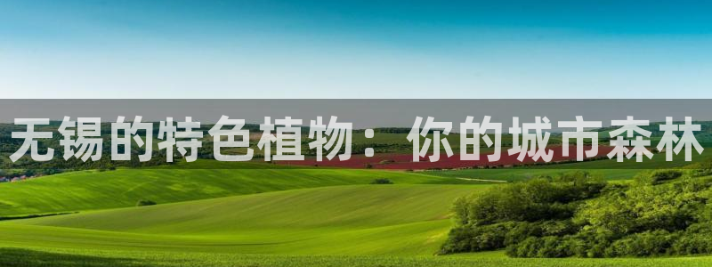 新宝gg — 创造!