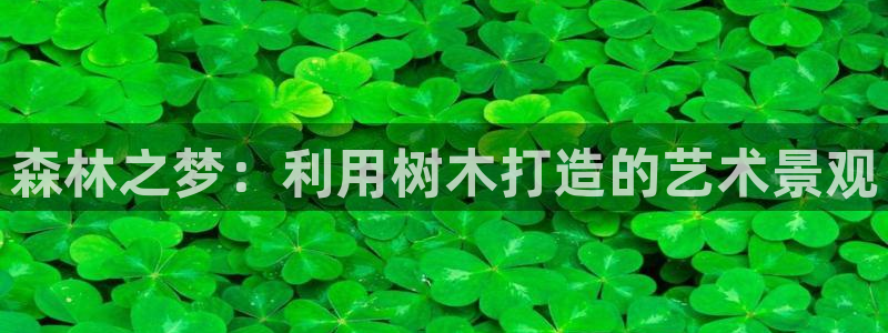 新宝gg代理：森林之梦：利用树木打造的艺术景观