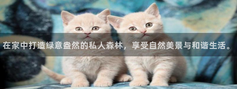 新宝Gg测速地址